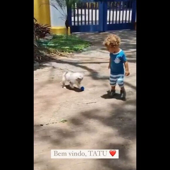 Biah Rodrigues não esclareceu se ela e o marido, o músico Sorocaba, adotaram ou compraram o animal