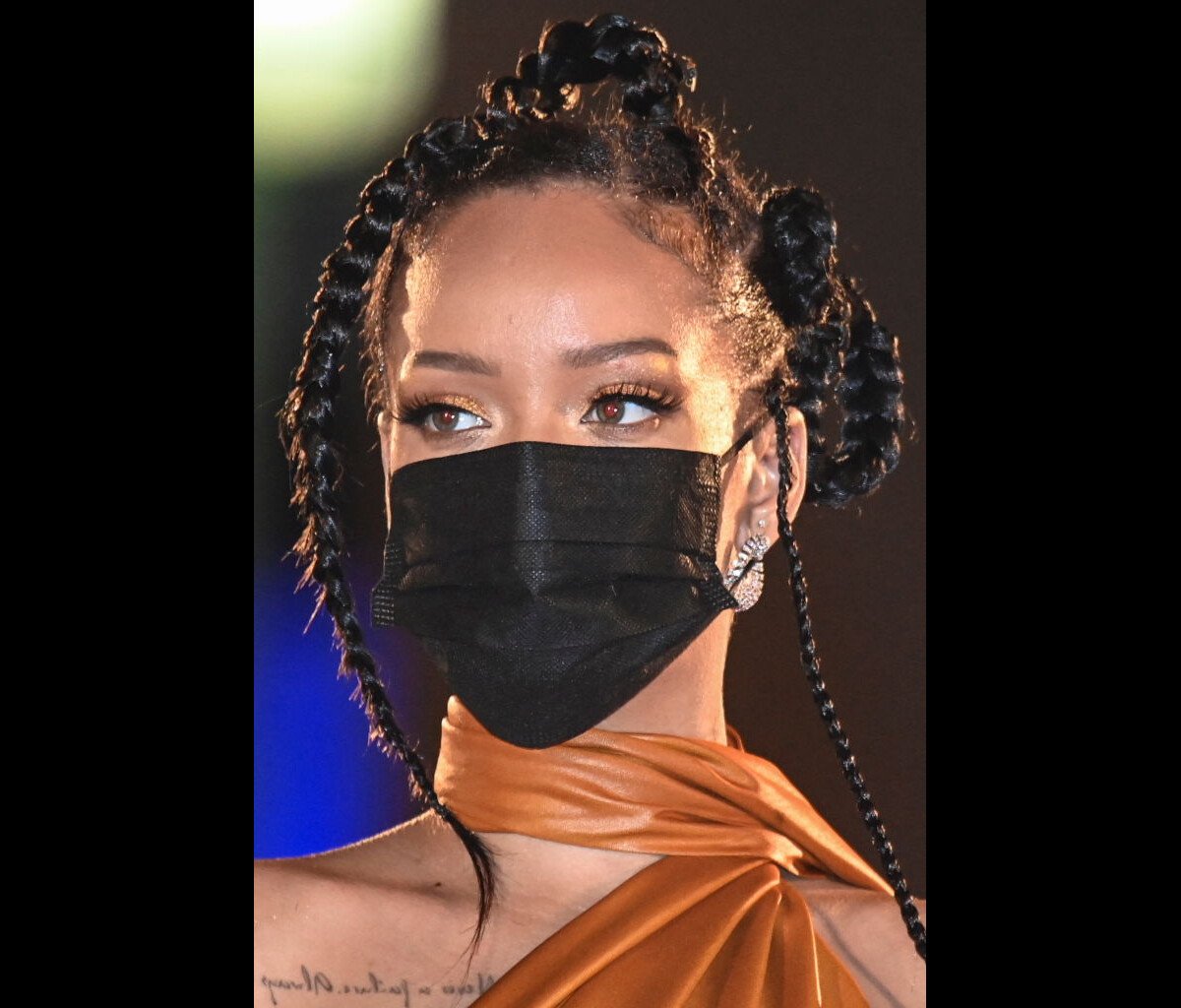 Foto Rihanna Foi Condecorada Heroína De Barbados Nesta Terça Feira 30 Purepeople