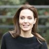 Angelina Jolie estava em um carro dirigido por um motorista particular e não teve a companhia do marido, Brad Pitt, nem dos filhos