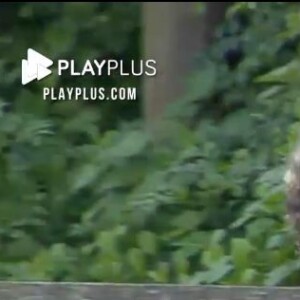 Dynho ainda não sabe que Mirella já deu entrada no divórcio após sua relação com Sthe Matos ficar cada vez mais romântica