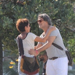 Edgar (Eduardo Moscovis) e Rebeca (Andrea Beltrão) retomam namoro na reta final da novela 'Um Lugar ao Sol'