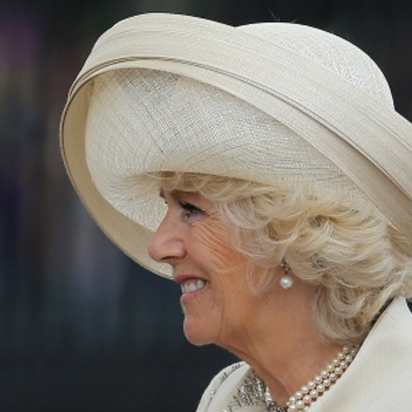 Autora de livro sobre Camilla Parker Bowles quer 'reequilibrar as coisas'