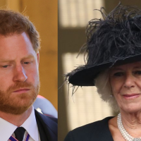 Príncipe Harry x Camilla Parker: biógrafa revela relação conturbada entre os dois e afirma que rainha consorte foi injustiçada