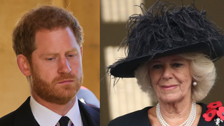 Príncipe Harry x Camilla Parker: biógrafa revela relação conturbada entre os dois e afirma que rainha consorte foi injustiçada