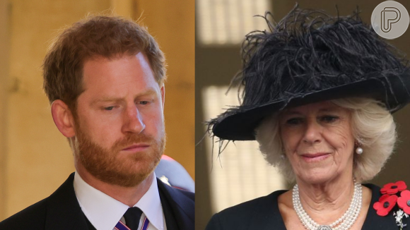 Relação entre Príncipe Harry e Camilla Parker Bowles parece ser muito delicada