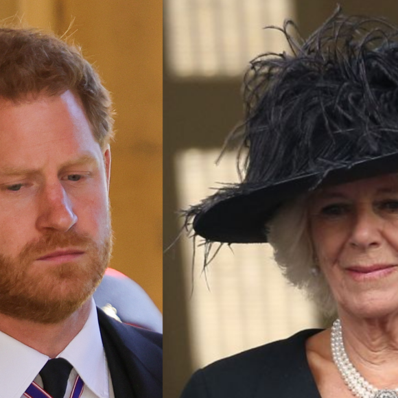 Relação entre Príncipe Harry e Camilla Parker Bowles parece ser muito delicada