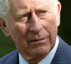 Rei Charles III pode retirar os títulos de duque de Meghan Markle e Príncipe Harry, segundo o especialista real Richard Fitzwilliams