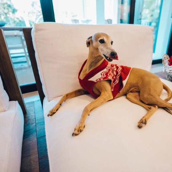 Anitta abriu álbum de fotos de viagem