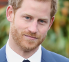 Príncipe Harry está confirmado na coroação do Rei Charles III