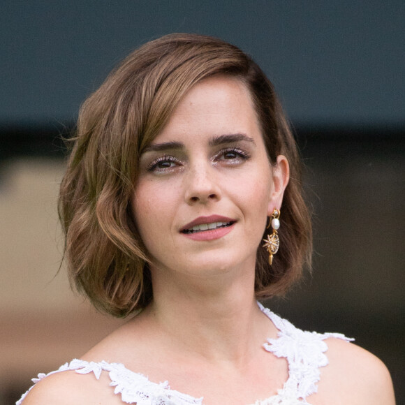 Emma Watson não ficou ociosa nesse meio tempo, ela está envolvida com várias marcas de moda e faz campanha pelos direitos das vítimas de abuso e pessoas trans