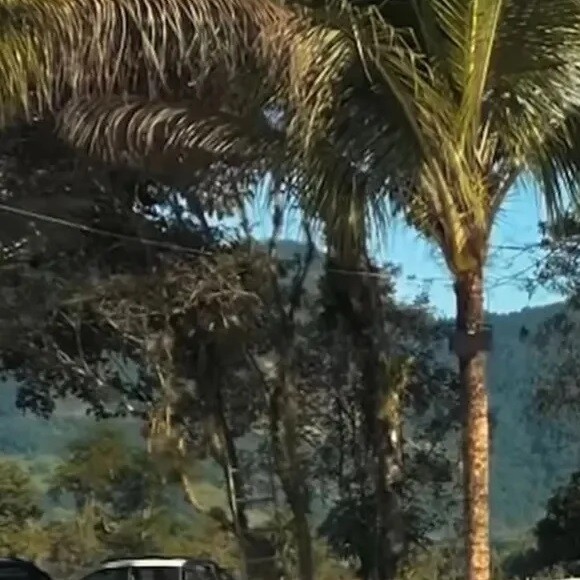 Largo artificial feito para mansão de Neymar infringiu vários itens considerados crime ambientais.