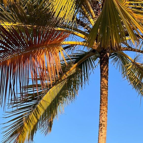 Grazi Massafera e Marlon Teixeira aparecem cercados de amigos em primeira foto oficial