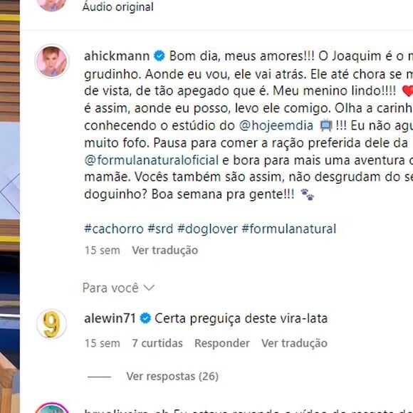 Ana Hickmann publicou um vídeo de Joaquim e Alexandre Correa comentou: 'Certa preguiça desse vira-lata'