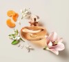 Quer um perfume feminino para usar no Réveillon? A fragrância feminina e floral de Lily Lumière Eau de Parfum é uma boa opção.