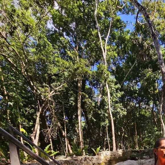 Lívia Andrade também mostrou uma barriguinha chapada nas fotos