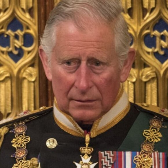 Câncer de Rei Charles III: o que acontece caso soberano tenha que deixar o trono britânico?