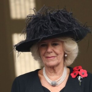 Rei Charles III se precisar se afastar do trono britânico será substituído por um conselho de Estado, hoje formado por quatro pessoas, incluindo sua mulher, a rainha Camilla Parker Bowles