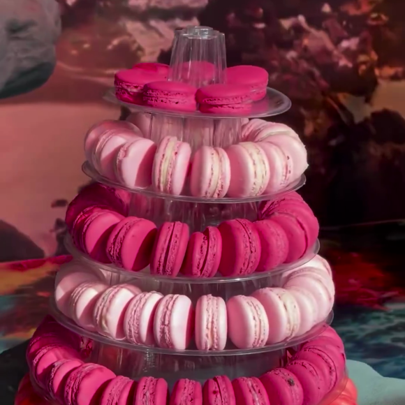 Festa das filhas de Ivete Sangalo: internautas mais atentos notaram moscas nos doces