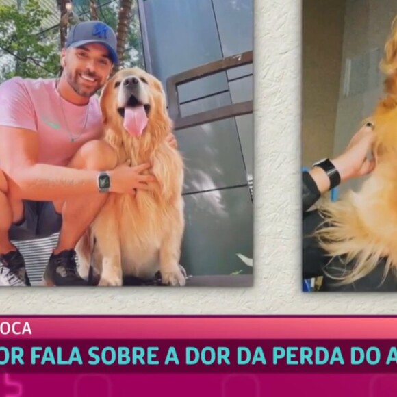 Morte do cão Joca: Ana Maria Braga chorou ao entrevistar ao vivo no 'Mais Você' o tutor do animal