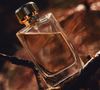 Perfume amadeirado: Como escolher a melhor fragrância da família olfativa