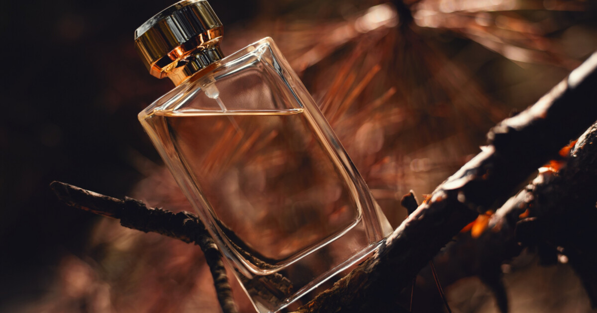 Perfume amadeirado: Como escolher a melhor fragrância da família ...