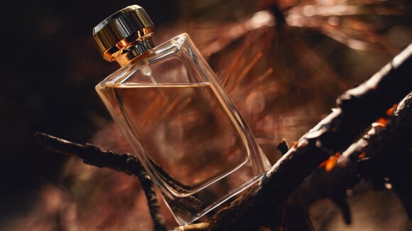 Perfume amadeirado: Como escolher a melhor fragrância da família olfativa