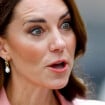 Kate Middleton em retirada: a princesa encontra um forte apoio e não é o príncipe William...