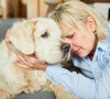 Quando se sonha com a morte de um cachorro, trata-se de um chamado para reconhecer e cuidar das suas fontes de apoio e lealdade.