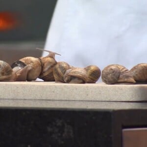 'MasterChef Brasil 2024': ingrediente obrigatório da prova de eliminação foi o escargot