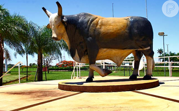 Em 2018, foi criado o Memorial do Touro Bandido no Parque do Peão de Barretos