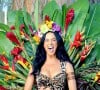 Katy Perry no videoclipe de 'Roar'