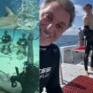 Corajosos até demais! Luciano Huck e Benício mergulham em mar repleto de tubarões e web especula reação de Angélica: 'Mãe sofre'