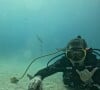 Luciano Huck posa com tubarão no fundo do mar