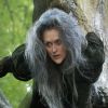Meryl Streep é outra a roubar a cena na pele de uma bruxa malvada no filme 'Caminhos da floresta', pelo qual concorre ao Oscar de Melhor Atriz Coadjuvante em 2015. A atriz recebeu sua 19ª indicação da academia e pode levar sua 4ª estatueta para casa
