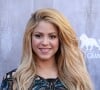 Shakira demorou anos para fazer sucesso pelo mundo, mas conquistou o globo com muito talento
