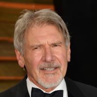 Harrison Ford sofre acidente de avião e tem ferimentos na cabeça: 'Voando baixo'