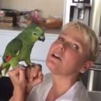 Xuxa apresenta cachorrinhos de estimação e conversa com papagaio: 'Ilari lari ê'