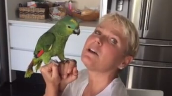 Xuxa apresenta cachorrinhos de estimação e conversa com papagaio: 'Ilari lari ê'