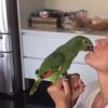 O nome do papagaio de Xuxa é Juca e a apresentadora conversou com o passarinho no vídeo