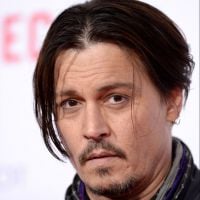 Cães de Johnny Depp voltam para os EUA após ameaça de serem sacrificados