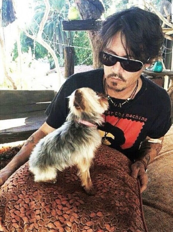 Johnny Depp precisou enviar os cachoros de volta para os Estados Unidos após governo australiano ameaçar sacrificar os animais