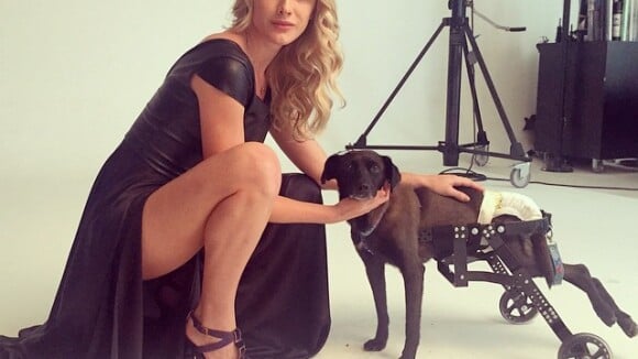Fiorella Mattheis usa vestido fendado em campanha com cachorrinho: 'Especial'
