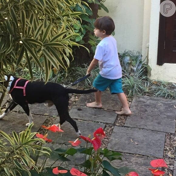 Piovani registrou fotos do filho com o cachorro passeando no quintal da nova casa