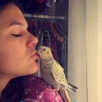 Bruna Marquezine enche calopsita de beijos: 'Amor da minha vida'
