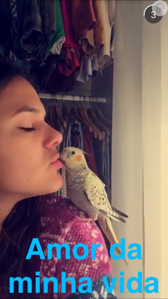 Bruna Marquezine mostrou um momento fofo com sua calopsita em vídeo postado no Snapchat nesta sexta, dia 24 de julho de 2015