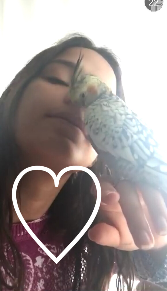 A atriz Bruna Marquezine também usa o Snapchat, e recentemente postou um vídeo fazendo carinho em sua calopsita