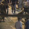 Grazi Massafera grava cenas da novela 'Verdades Secretas' em favela do Rio de Janeiro