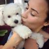 Demi Lovato lamentou a morte de seu cão de estimação, Buddy, em sua conta do Twitter nesta terça-feira, 28 de julho de 2015