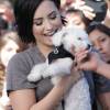 Buddy foi um presente que Wilmer Valderrama, namorado de Demi Lovato, deu à cantora dias antes do Natal de 2014