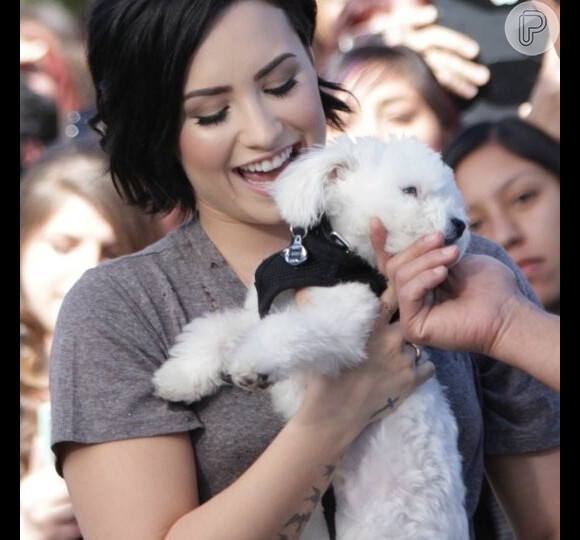 Buddy foi um presente que Wilmer Valderrama, namorado de Demi Lovato, deu à cantora dias antes do Natal de 2014